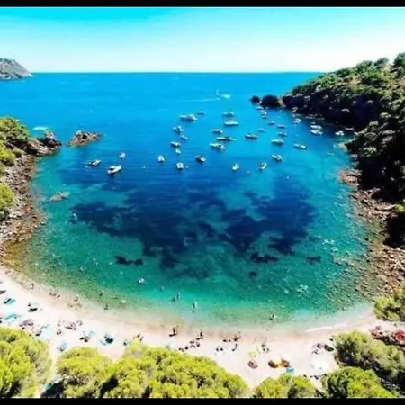Marinada * Roses
